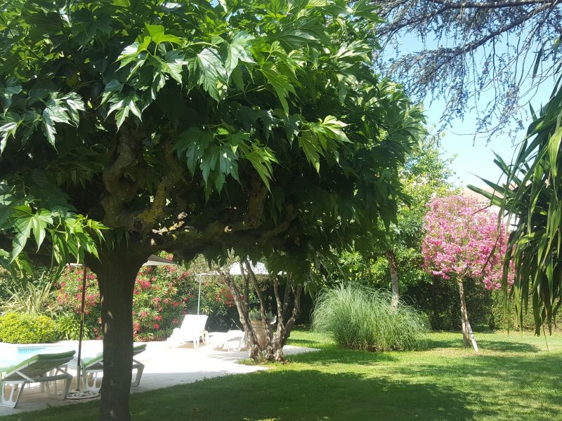 photo 20 Location entre particuliers Saint Tropez appartement Provence-Alpes-Cte d'Azur Var Jardin