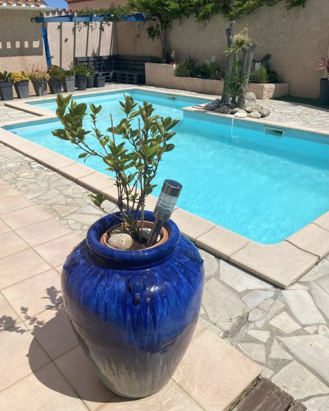 photo 9 Location entre particuliers Canet-en-Roussillon villa Languedoc-Roussillon Pyrnes-Orientales Piscine