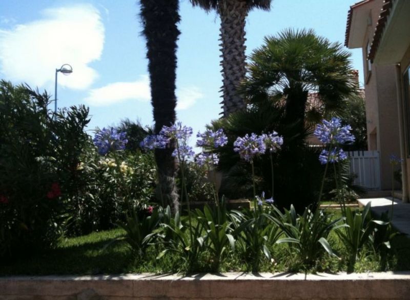 photo 11 Location entre particuliers Canet-en-Roussillon villa Languedoc-Roussillon Pyrnes-Orientales Jardin