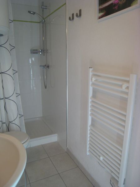 photo 7 Location entre particuliers Bormes Les Mimosas appartement Provence-Alpes-Cte d'Azur Var salle de bain