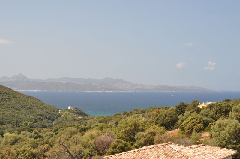 photo 17 Location entre particuliers Farinole appartement Corse Haute-Corse Vue depuis la location