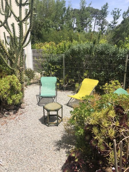 photo 15 Location entre particuliers Calvi appartement Corse Haute-Corse Jardin