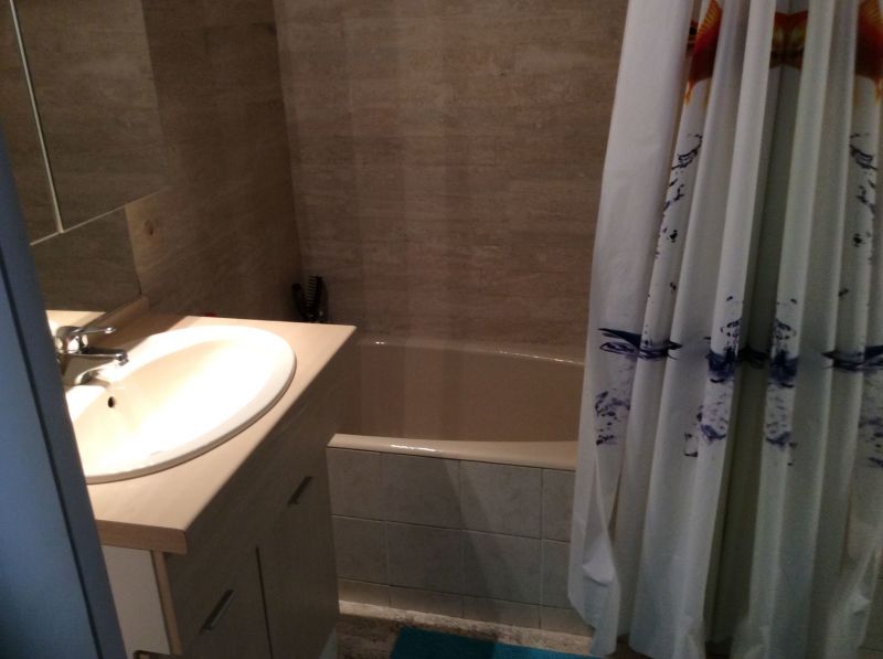 photo 6 Location entre particuliers Port Camargue studio Languedoc-Roussillon Gard salle de bain