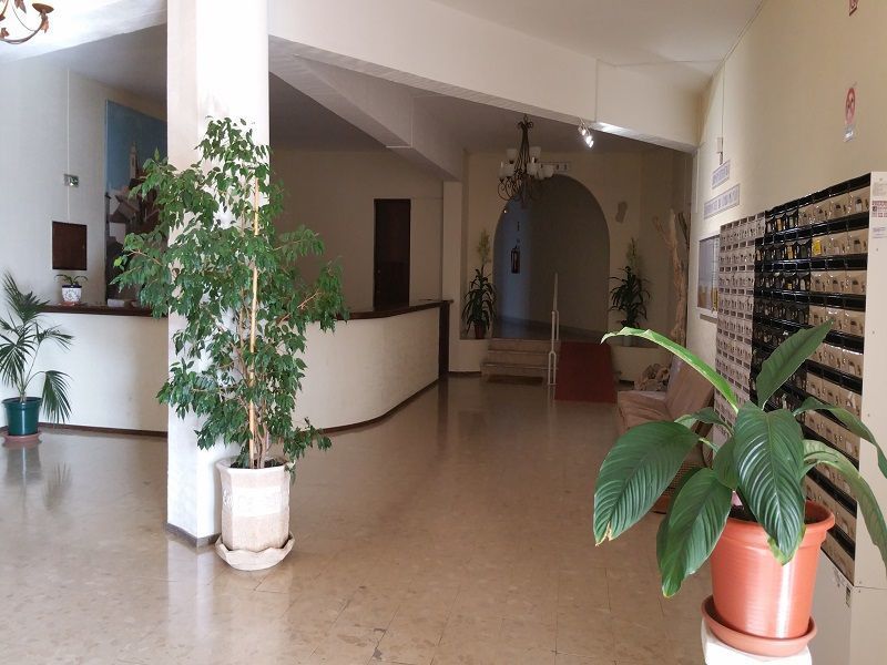 photo 4 Location entre particuliers Portimo appartement Algarve