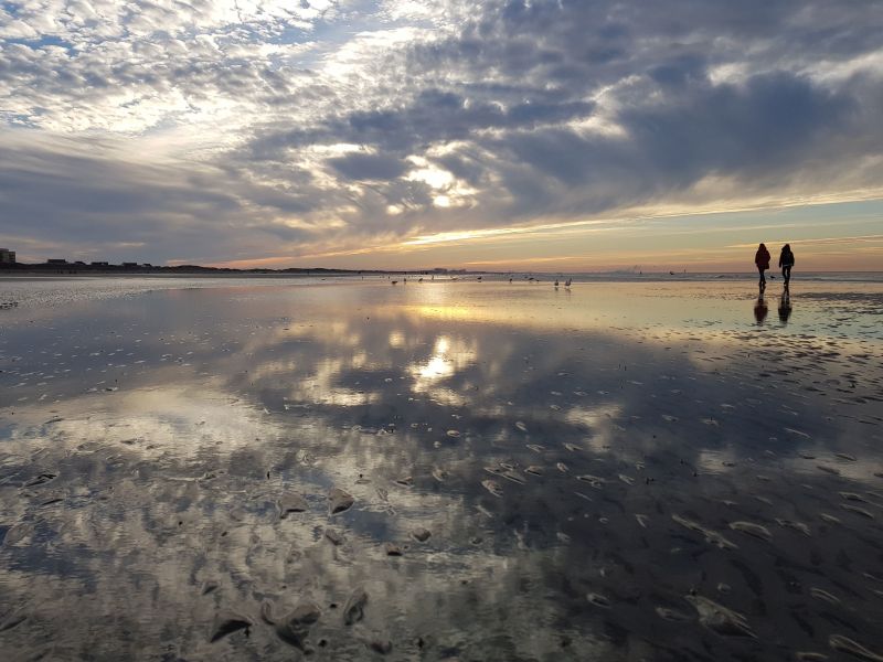 photo 10 Location entre particuliers La Panne studio Flandre Occidentale  Plage