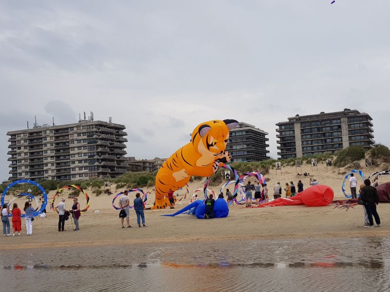 photo 12 Location entre particuliers La Panne studio Flandre Occidentale  Plage