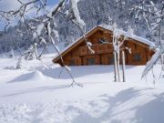 Locations vacances pour 8 personnes: chalet n 125961