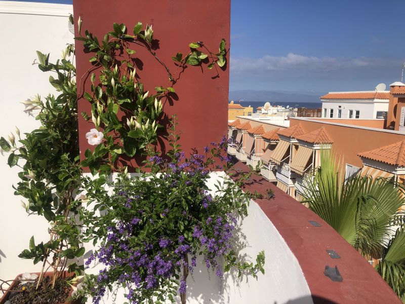 photo 1 Location entre particuliers Playa San Juan appartement Canaries  Vue de la terrasse