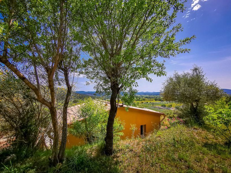 photo 4 Location entre particuliers Cuers studio Provence-Alpes-Cte d'Azur Var Jardin