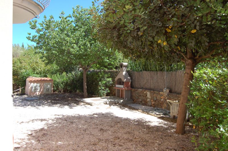 photo 9 Location entre particuliers Budoni appartement Sardaigne Olbia Tempio (province de) Jardin