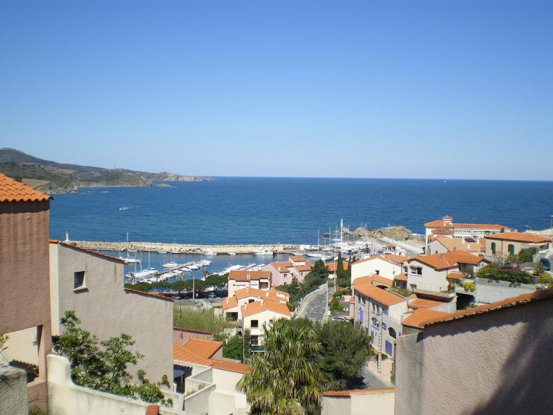 photo 0 Location entre particuliers Banyuls-sur-Mer appartement Languedoc-Roussillon Pyrnes-Orientales Vue de la terrasse