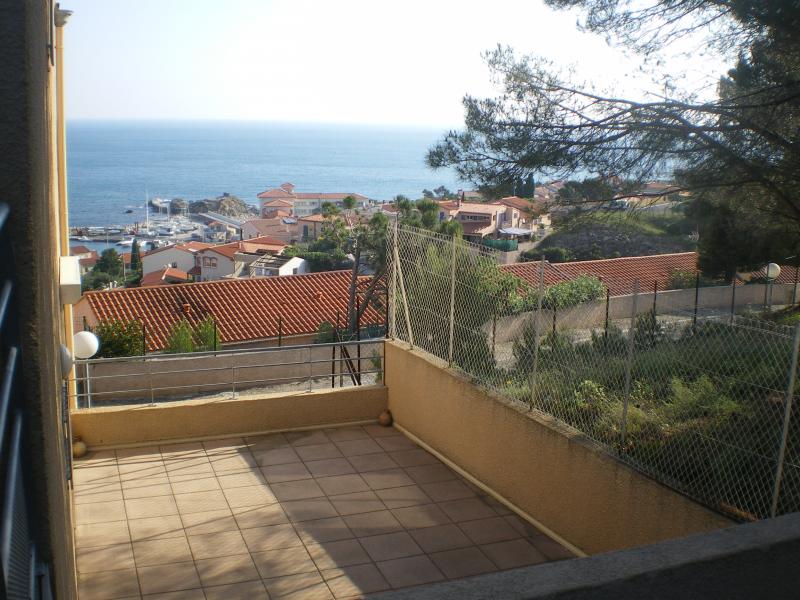 photo 4 Location entre particuliers Banyuls-sur-Mer appartement Languedoc-Roussillon Pyrnes-Orientales Vue de la terrasse