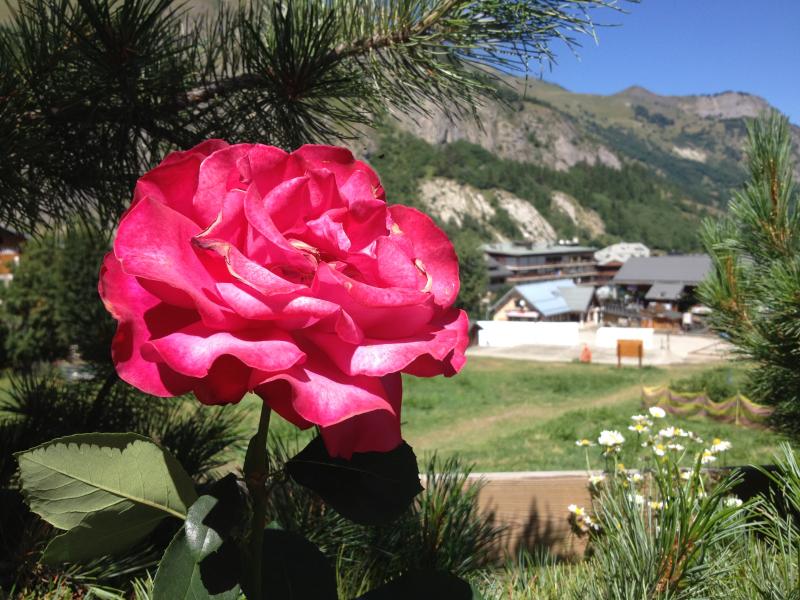 photo 18 Location entre particuliers Valloire chalet Rhne-Alpes Savoie Jardin