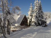 Locations vacances Paradiski pour 8 personnes: chalet n 90038