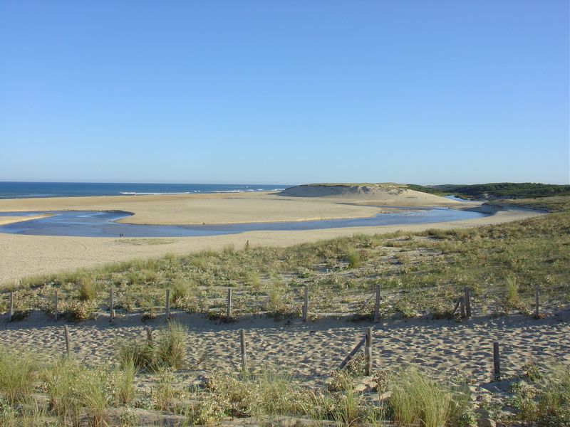 photo 18 Location entre particuliers Moliets maison Aquitaine Landes Plage