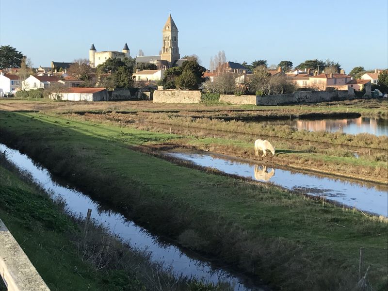 photo 16 Location entre particuliers Noirmoutier en l'le maison Pays de la Loire Vende Vue autre