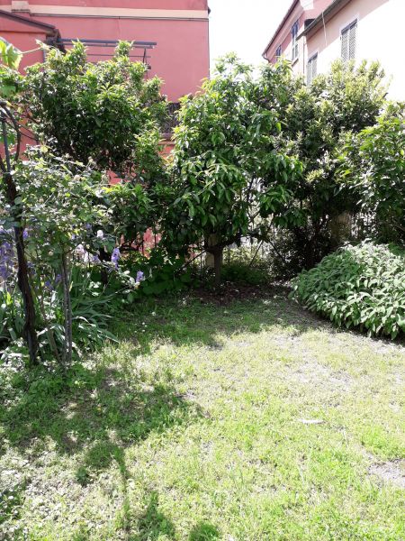 photo 2 Location entre particuliers Levanto appartement Ligurie La Spezia (province de) Jardin