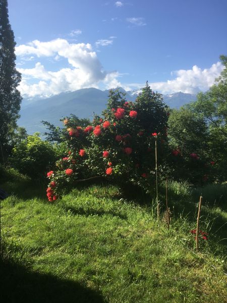 photo 13 Location entre particuliers Embrun chalet Provence-Alpes-Cte d'Azur Hautes-Alpes Jardin