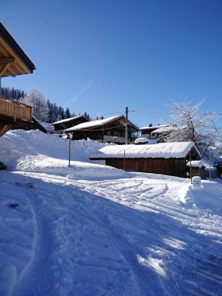 photo 1 Location entre particuliers Praz sur Arly appartement Rhne-Alpes Haute-Savoie Vue extrieure de la location