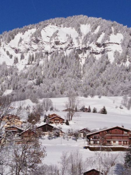 photo 14 Location entre particuliers Praz sur Arly appartement Rhne-Alpes Haute-Savoie