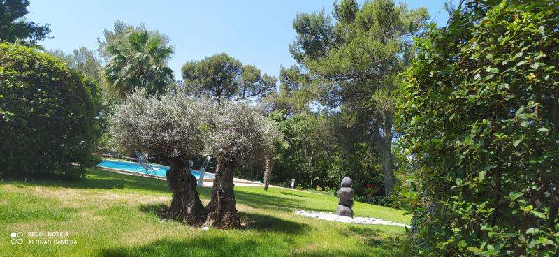 photo 20 Location entre particuliers Nmes maison Languedoc-Roussillon Gard Jardin