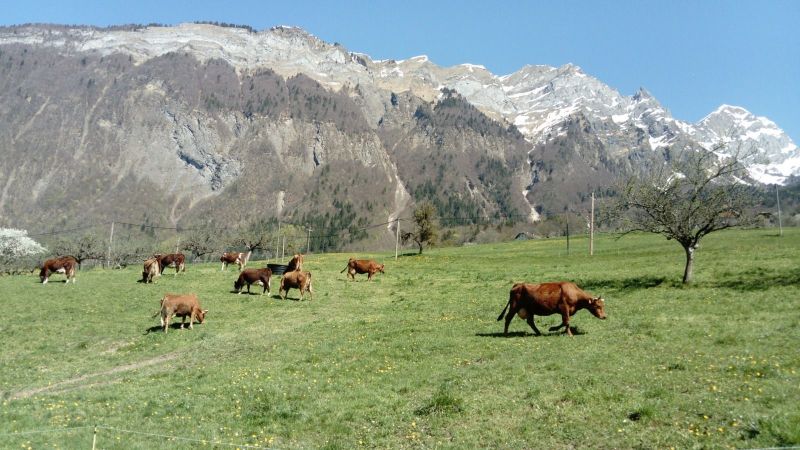photo 15 Location entre particuliers Albertville gite Rhne-Alpes Savoie Vue  proximit