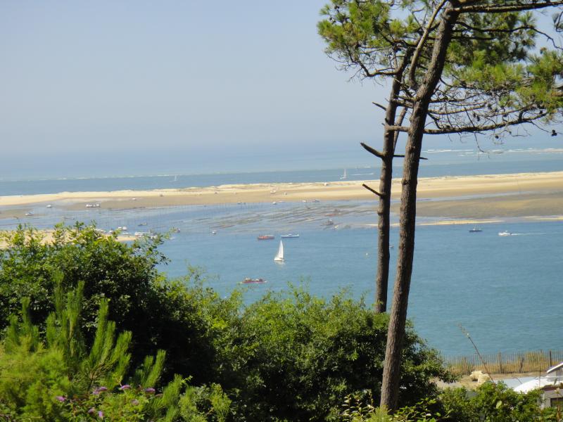 photo 21 Location entre particuliers Arcachon appartement Aquitaine Gironde Vue  proximit