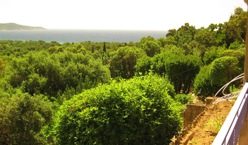 photo 0 Location entre particuliers Cavalaire-sur-Mer appartement Provence-Alpes-Cte d'Azur Var Vue de la terrasse