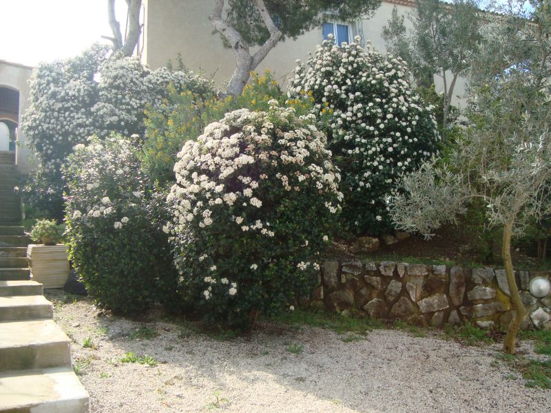 photo 12 Location entre particuliers Cassis bungalow Provence-Alpes-Cte d'Azur Bouches du Rhne Jardin