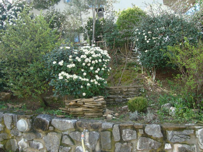 photo 14 Location entre particuliers Cassis bungalow Provence-Alpes-Cte d'Azur Bouches du Rhne Jardin