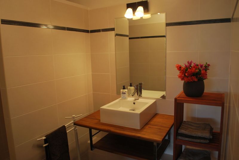 photo 12 Location entre particuliers Saint Francois appartement Grande Terre  salle de bain