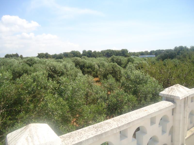 photo 4 Location entre particuliers Gallipoli villa Pouilles Lecce (province de)