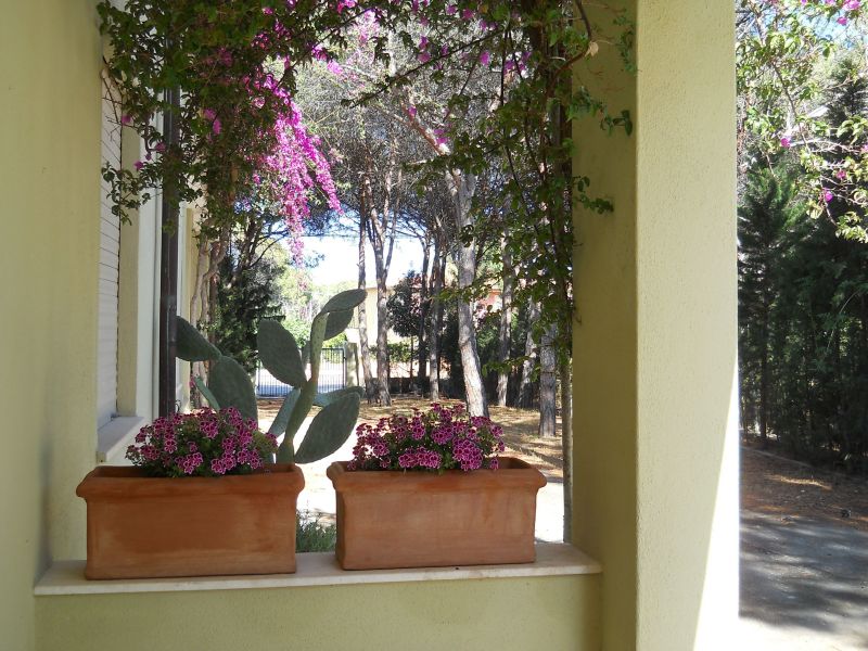 photo 22 Location entre particuliers Posada appartement Sardaigne Nuoro (province de) Entre