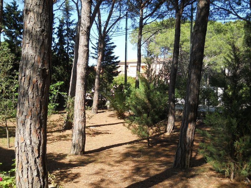 photo 23 Location entre particuliers Posada appartement Sardaigne Nuoro (province de) Jardin