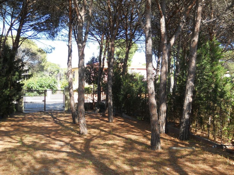 photo 24 Location entre particuliers Posada appartement Sardaigne Nuoro (province de) Jardin