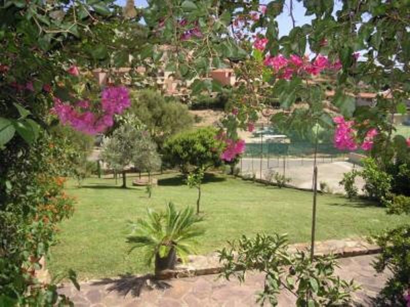 photo 14 Location entre particuliers Chia villa Sardaigne Cagliari (province de) Jardin