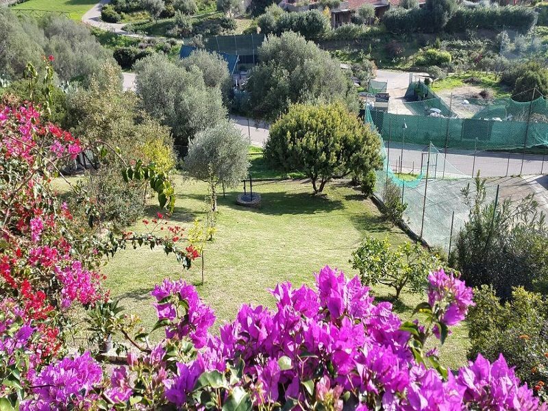 photo 15 Location entre particuliers Chia villa Sardaigne Cagliari (province de) Jardin