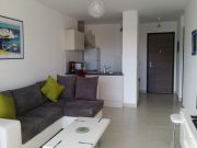 Locations vacances France: appartement n 119355