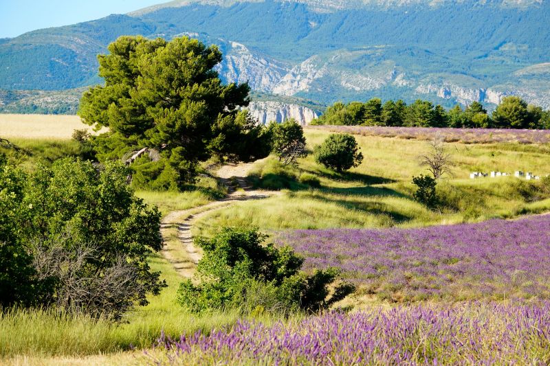 photo 20 Location entre particuliers Allemagne en Provence maison Provence-Alpes-Cte d'Azur Alpes de Haute-Provence Vue  proximit