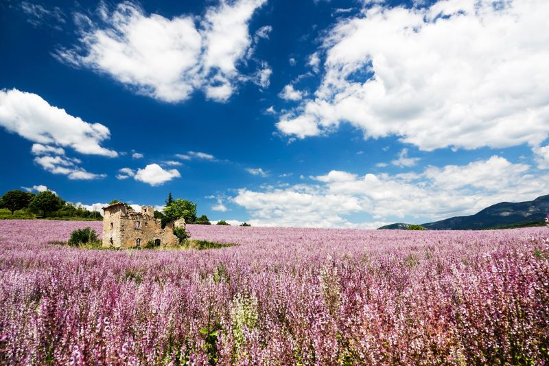 photo 21 Location entre particuliers Allemagne en Provence maison Provence-Alpes-Cte d'Azur Alpes de Haute-Provence Vue  proximit