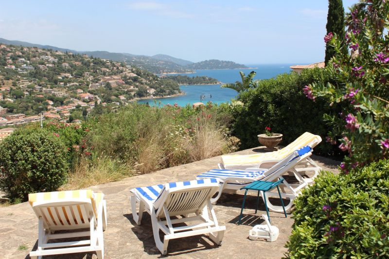 photo 12 Location entre particuliers Le Lavandou villa Provence-Alpes-Cte d'Azur Var