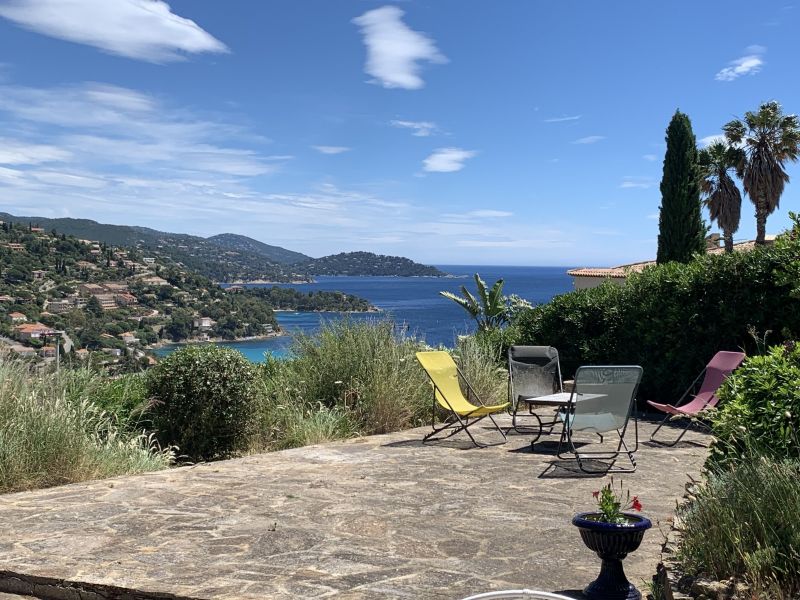 photo 13 Location entre particuliers Le Lavandou villa Provence-Alpes-Cte d'Azur Var