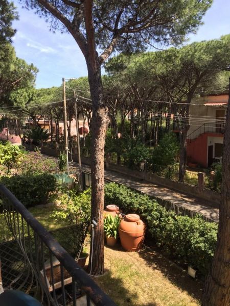 photo 16 Location entre particuliers Pula appartement Sardaigne Cagliari (province de) Jardin
