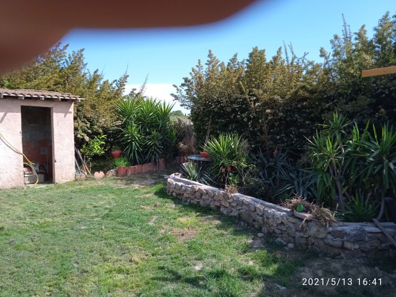 photo 3 Location entre particuliers Perpignan villa Languedoc-Roussillon  Jardin