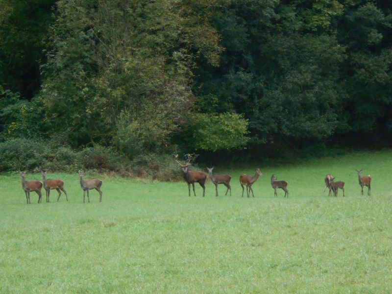 photo 21 Location entre particuliers  gite Midi-Pyrnes Hautes-Pyrnes Vue autre