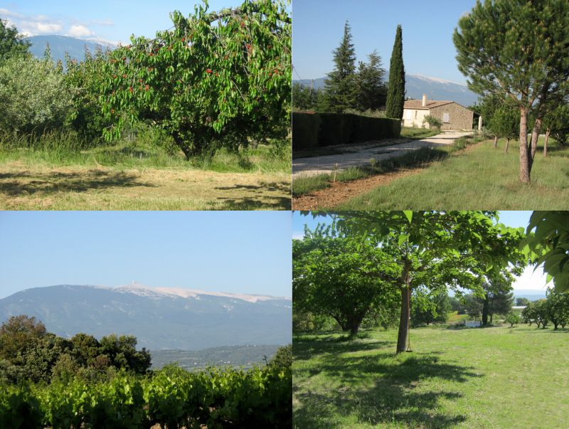 photo 18 Location entre particuliers Carpentras villa Provence-Alpes-Cte d'Azur Vaucluse
