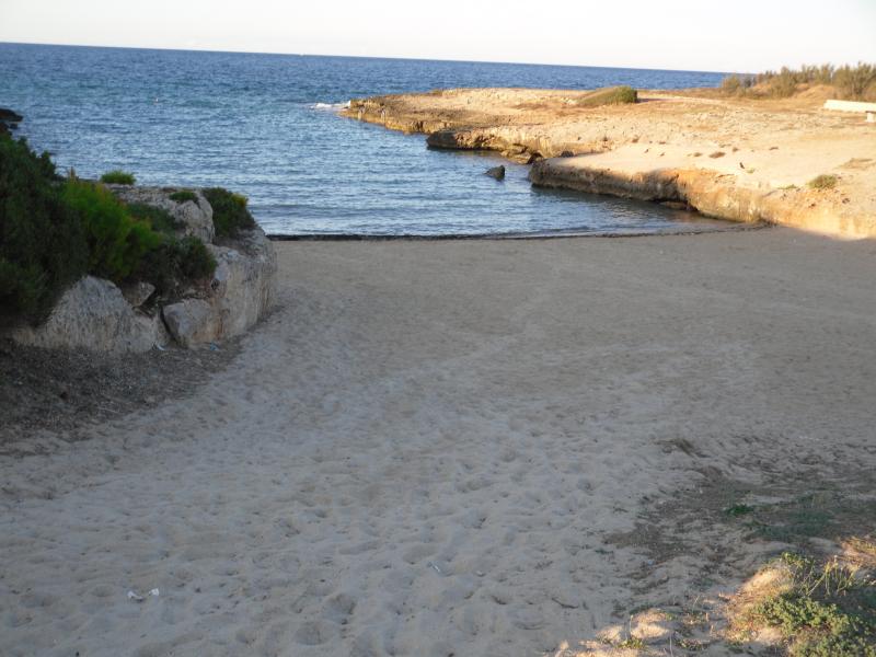 photo 24 Location entre particuliers Ostuni appartement Pouilles Brindisi (province de) Plage