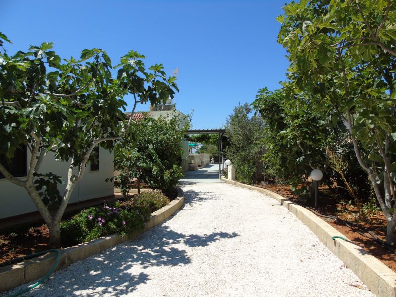 photo 26 Location entre particuliers Gallipoli troglodyte Pouilles Lecce (province de) Jardin