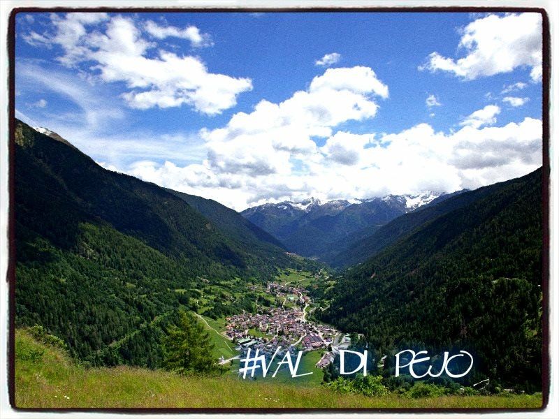 photo 18 Location entre particuliers Peio (Pejo) appartement Trentin-Haut-Adige Trente (province de) Vue autre