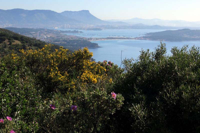 photo 21 Location entre particuliers La Seyne sur Mer appartement Provence-Alpes-Cte d'Azur Var Vue  proximit